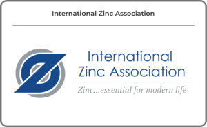 
												International Zinc Association